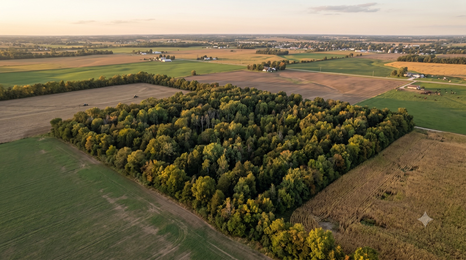 How to Sell Landlocked Land With No Road Access
