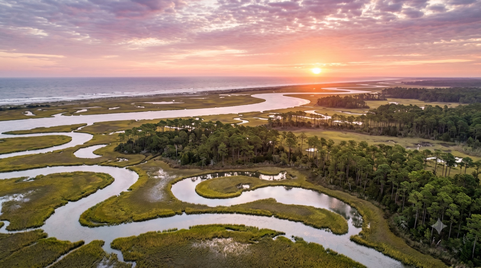 Sell My Land in Colleton County SC - What Landowners Need to Know